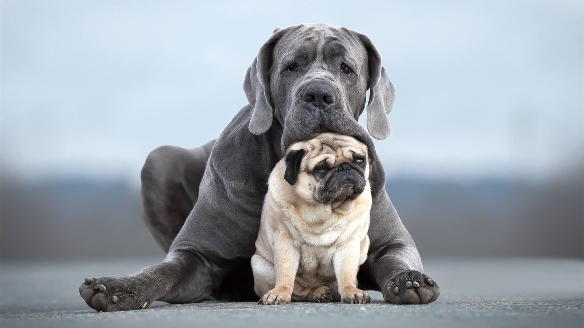 跨越时空的绝杀，足球赛场的终场哨与乒坛不息的纪录回响