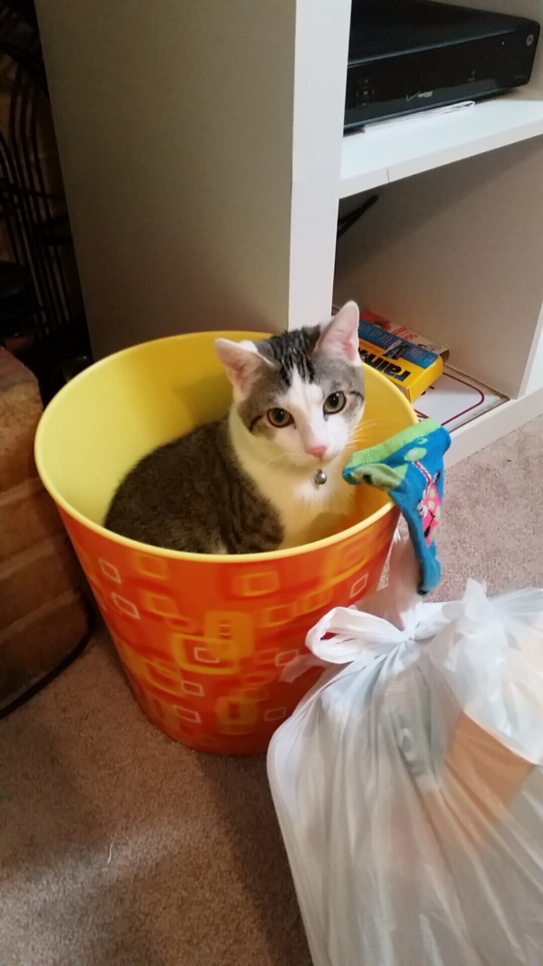 南半球的火焰，当鲁德在澳网点燃的激情碾压温网的传统