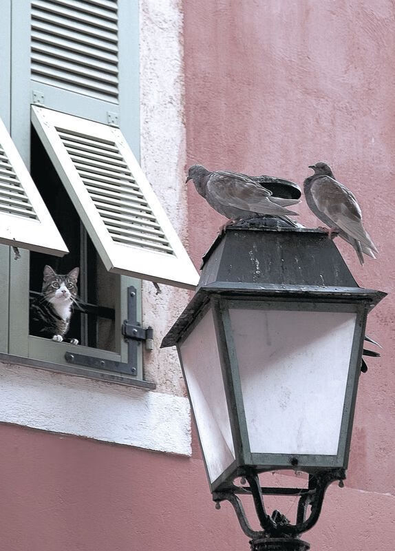 当南部之星遇见格子军,阿圭罗在慕尼黑夜空下的自我救赎