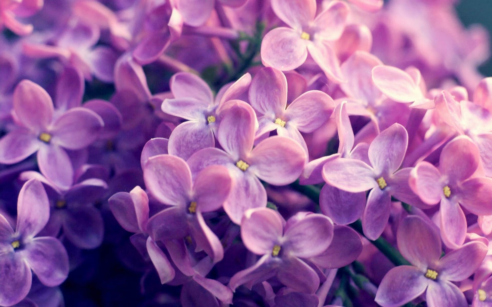 时空裂缝，当莫兰特空降CBA并接管了辽吉之战