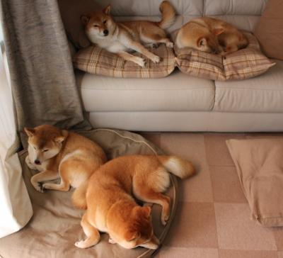 铁壁南粤锁丹佛,天神降世定乾坤,文班亚马东决G7狂揽40+20封神