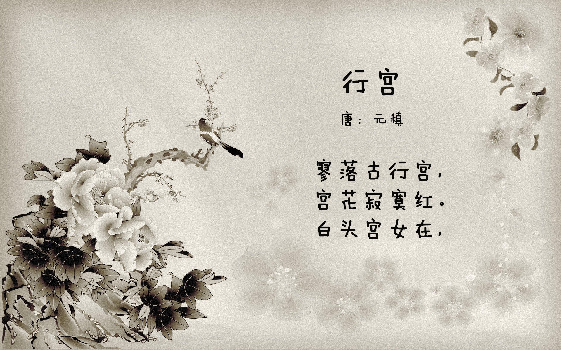 当他走向方向盘时,全世界都笑了—直到第一个弯道