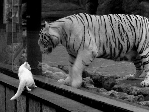 爵士森林狼之战,乔治以指尖导演胜利交响乐