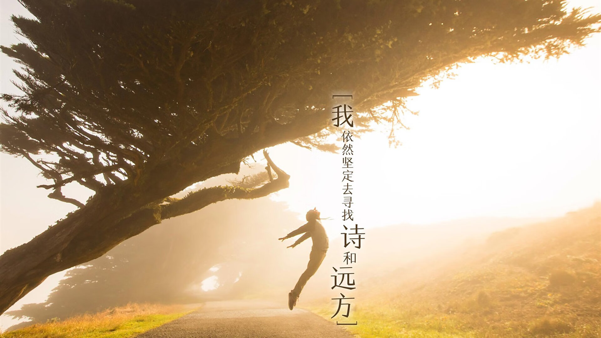 夜幕中的流星，篮网爆冷雷霆，伦纳德的逆袭时刻