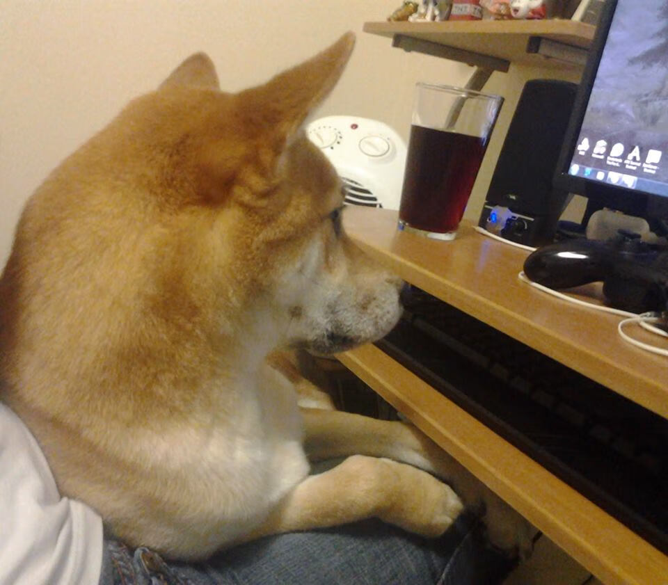 教科书级攻防与战略棋局，伦纳德率步行者力克76人，昭示冠军雄心