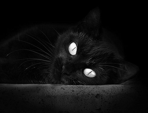 掘金约对统治，鹈鹕折翼丹佛—英格拉姆空砍40+难挽狂澜