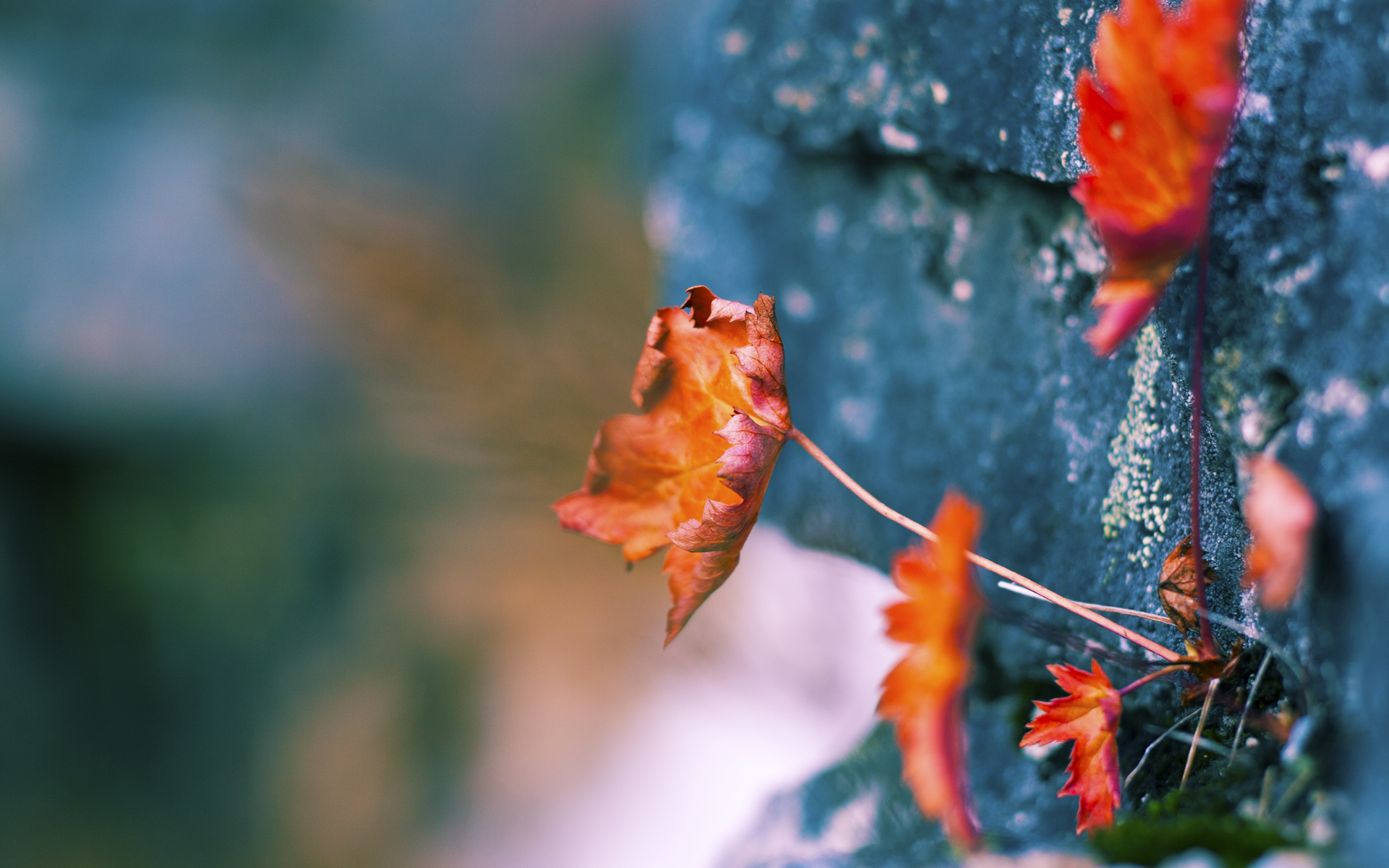 刹车与绝杀，当银石赛道遇见金色终场哨