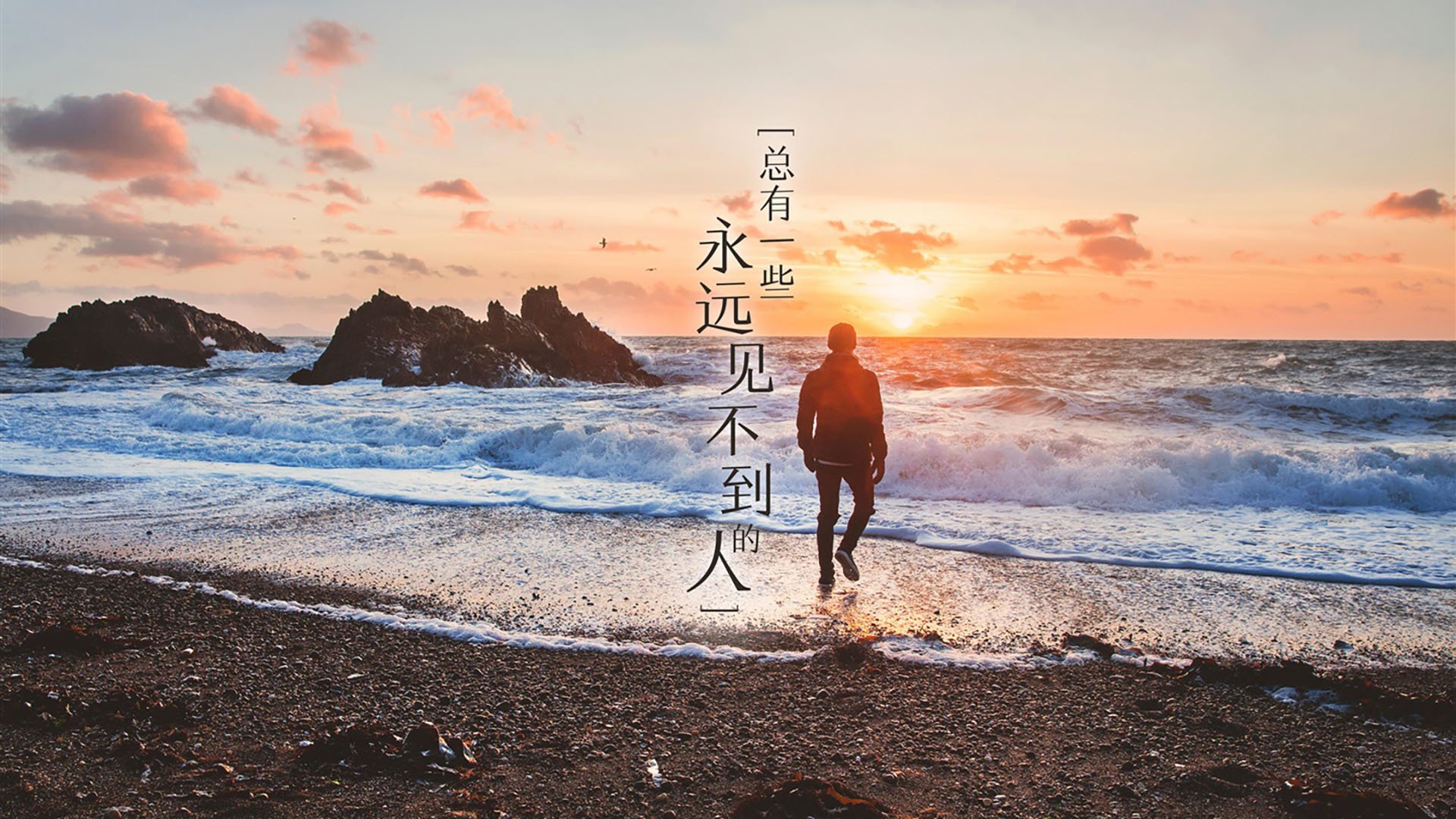 德罗赞赛后评分拉满的启示，开拓者轻取奇才背后的团队篮球新解