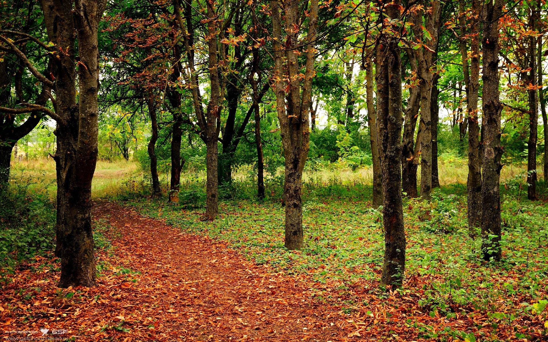 1.8秒绝杀,西决生死战上演双城奇迹