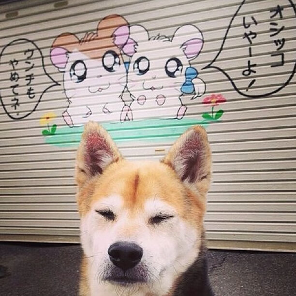 唯一性解析，东决关键战背后的战术碾压—马里如何屠戮洪都拉斯体系