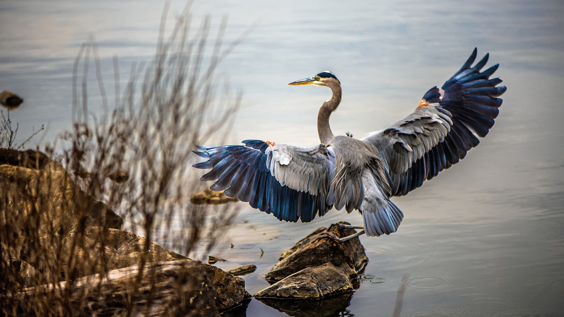 时空交错下的篮球诗篇，当辽宁飞豹压哨撕裂汽车城